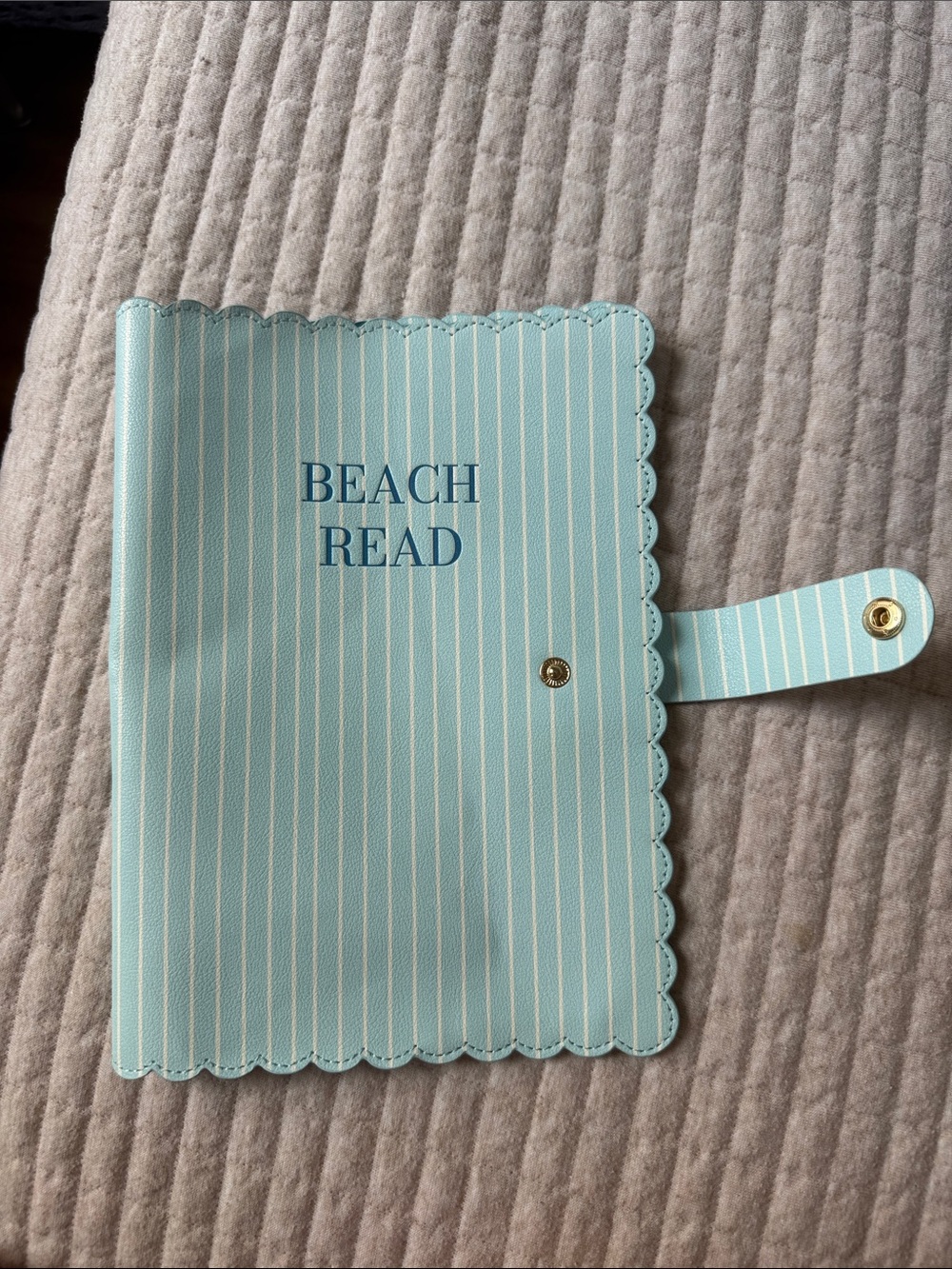 Beach Read Striped Notebook/Book Cover in Aqua